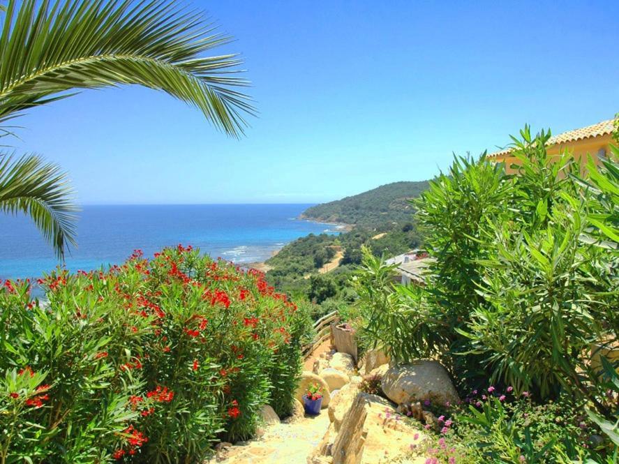La Cote Bleue * Sainte-Lucie de Porto-Vecchio